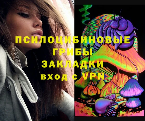 apvp Арсеньев