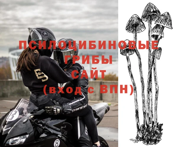 apvp Арсеньев