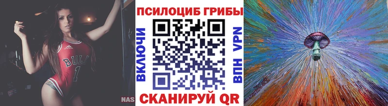 хочу наркоту  Артёмовский  Псилоцибиновые грибы Psilocybe 
